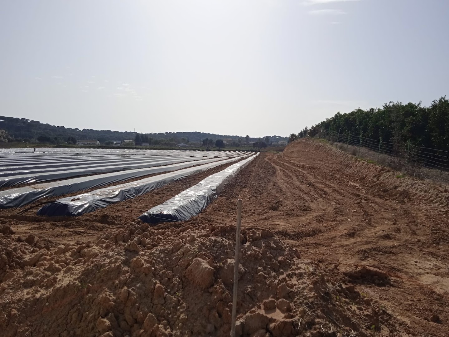 Electricista En Huelva — Fotos 14